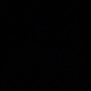 Meet your Posher, Lily